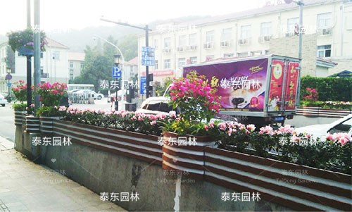 護(hù)欄花箱 護(hù)欄花箱